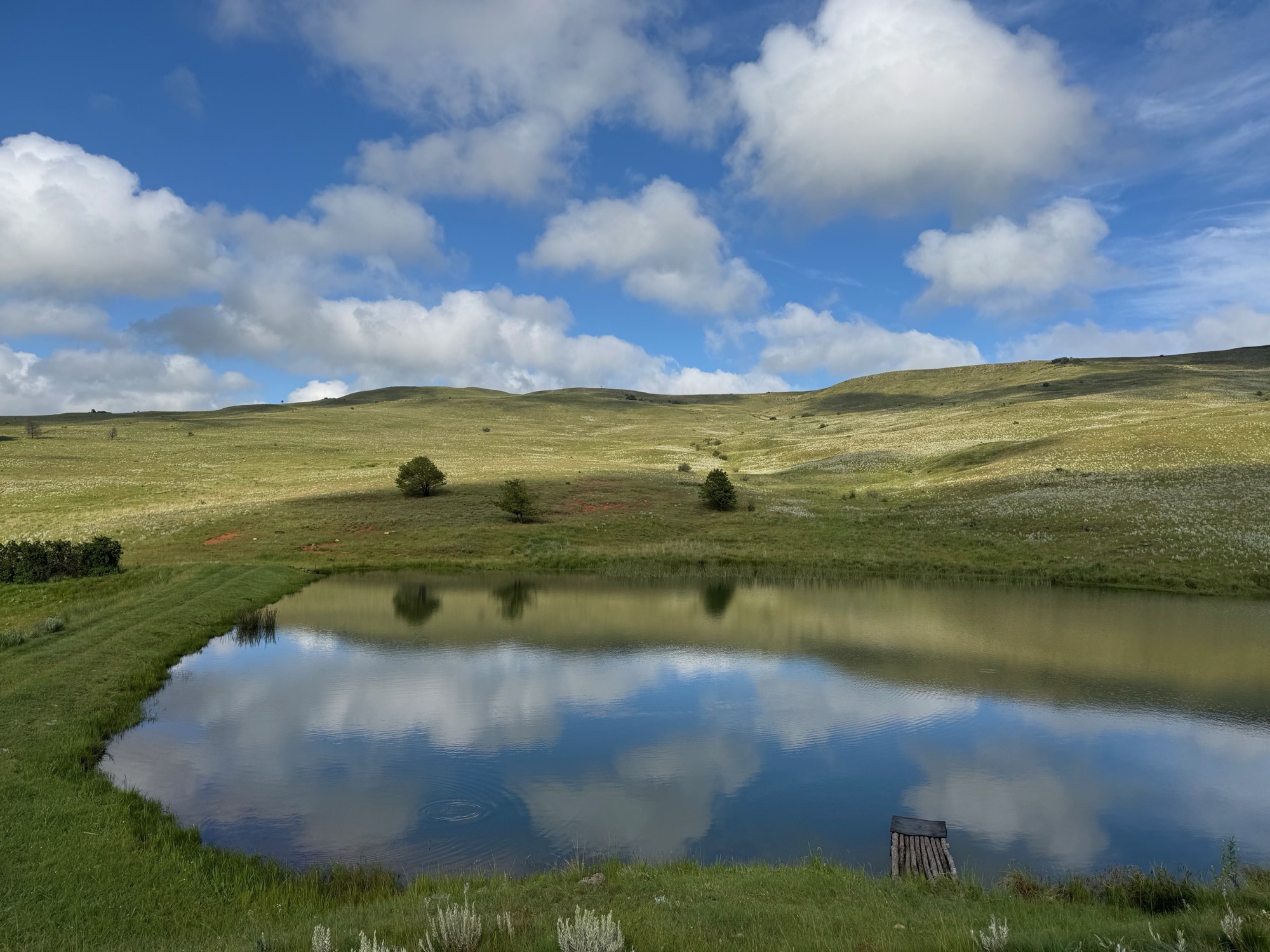 The trout dam