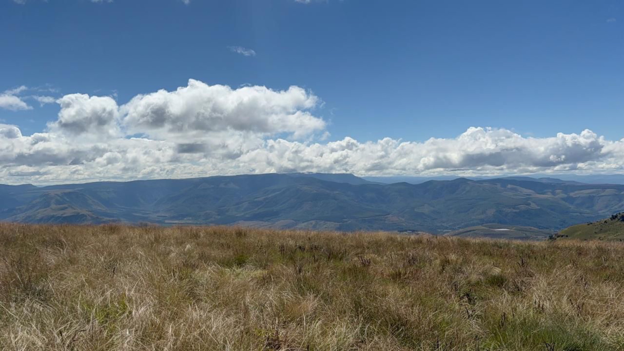 Landscape view